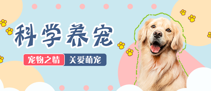 中之星水性油墨